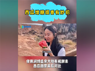 西瓜增糖提香有妙招，使用潤(rùn)博盛親大地有機(jī)酵素，西瓜甜度前后對(duì)比