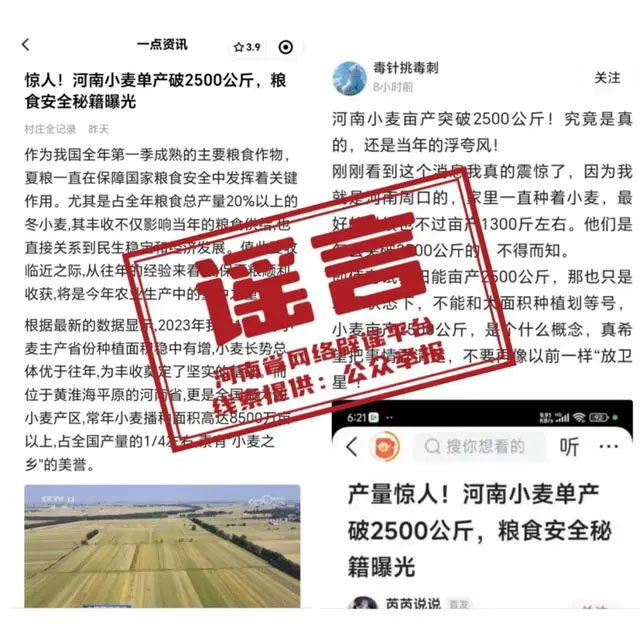 河南小麥單產(chǎn)破2500公斤為不實(shí)信息